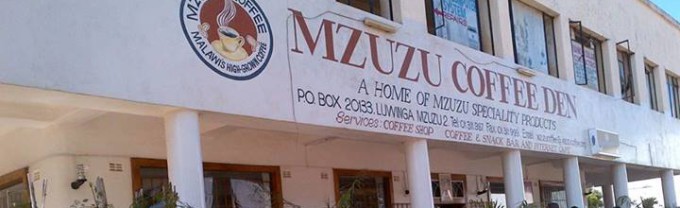 mzuzu coffee den